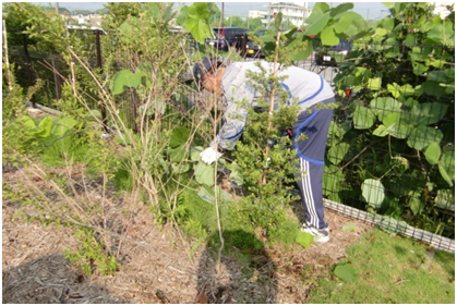 u090625-08.png