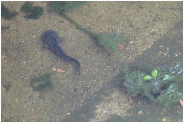 u090706-03.png
