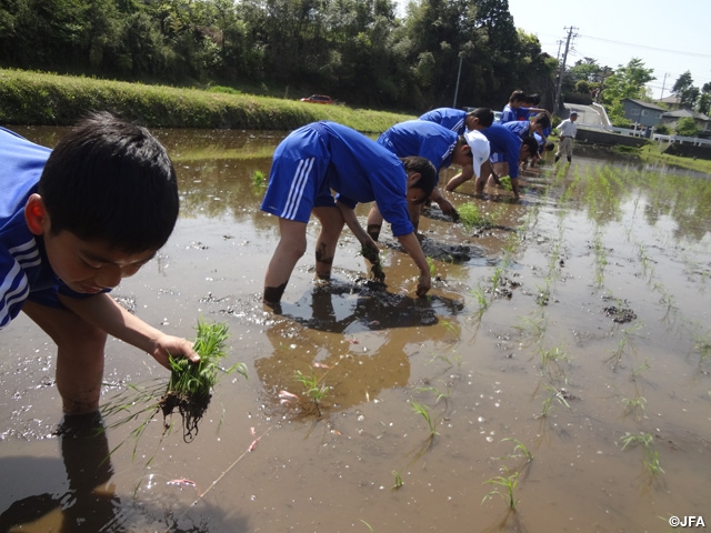 JFA Academy Fukushima Ninth-term boys experienced rice planting