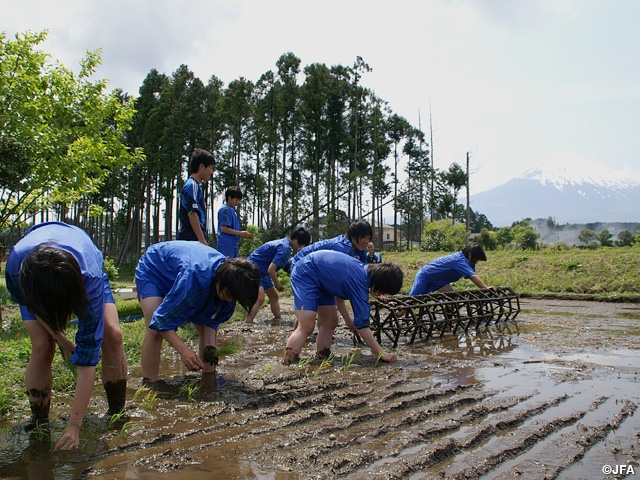 Girls transplant rice seedings at JFA Academy Fukushima