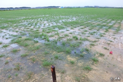 【復興支援】福島県相馬市にフットボールセンターがオープン