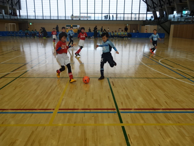 JFAキッズ（U-10）サッカーフェスティバル 新潟県新潟市の新潟市秋葉区総合体育館に、242人が参加！