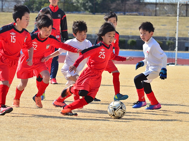JFAキッズ（U-8）サッカーフェスティバル 埼玉県越谷市の越谷市しらこばと運動公園競技場に、658人が参加！