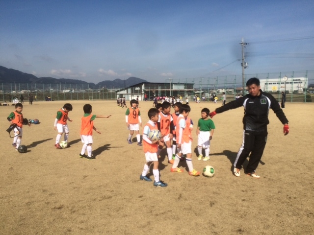 JFAキッズ（U-8）サッカーフェスティバル 奈良県葛城市の新庄新町運動公園グラウンドに、964人が参加！