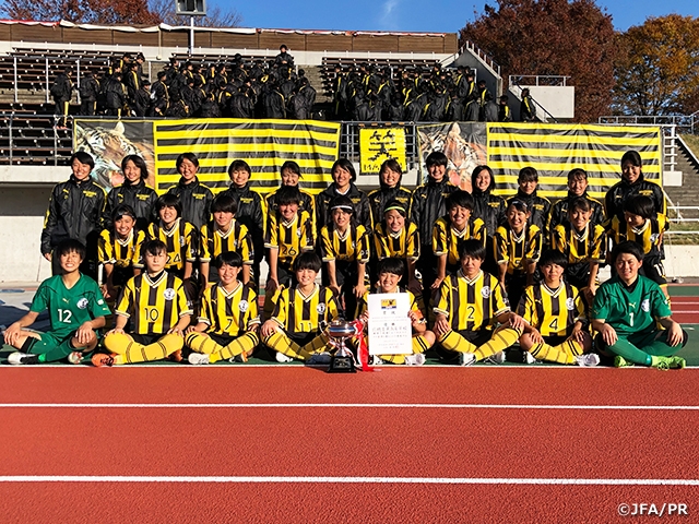 第28回全日本高等学校女子サッカー選手権大会　関東・北信越・東海・関西・中国地域代表決定