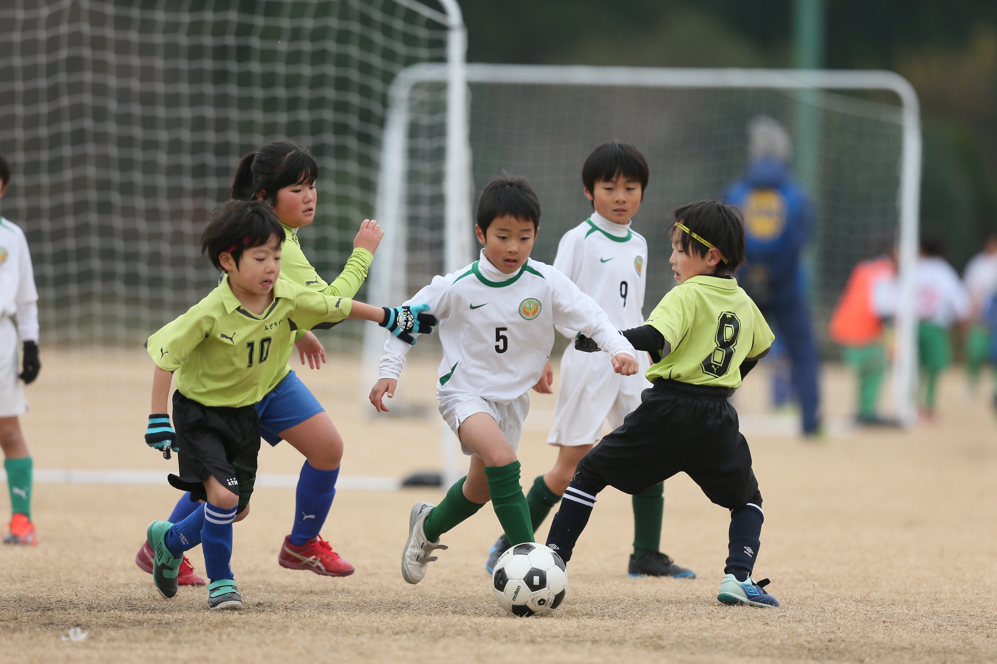 JFAキッズ（U-8）サッカーフェスティバル in 坂戸市坂戸総合運動公園第一多目的グランド