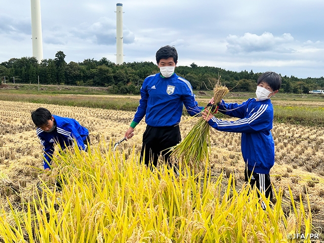 JFAアカデミー福島EAST　稲刈り体験