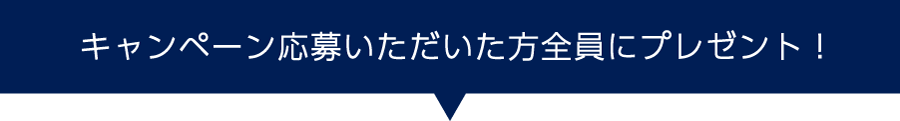 応募した方全員にプレゼント！