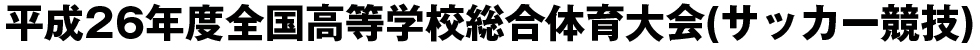 平成26年度全国高等学校総合体育大会(サッカー競技)