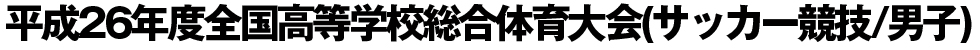 平成26年度全国高等学校総合体育大会(サッカー競技)