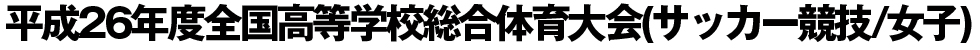 平成26年度全国高等学校総合体育大会(サッカー競技)