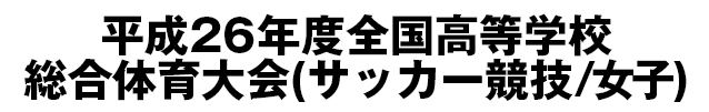 平成26年度全国高等学校総合体育大会(サッカー競技)