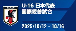 国際親善試合
