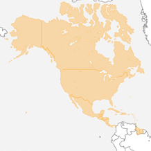 North, Central America and Caribbean Qualifiers