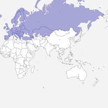 Europe Qualifiers