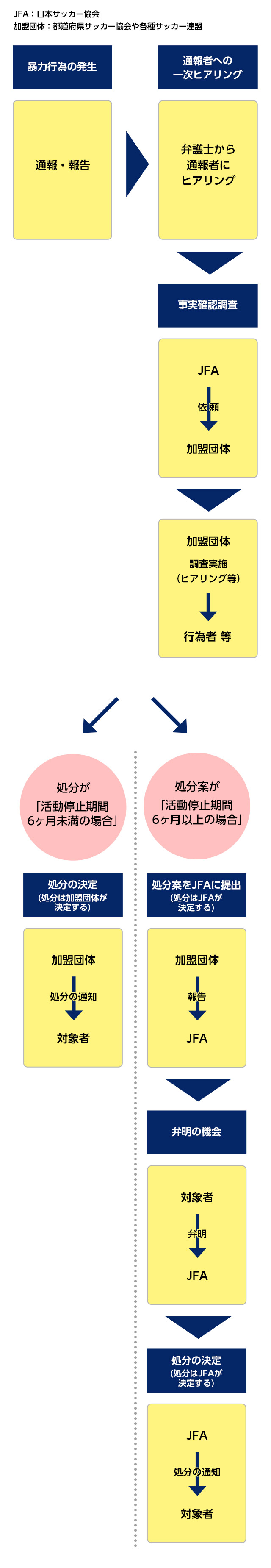 通報から処分までの手続きのフロー