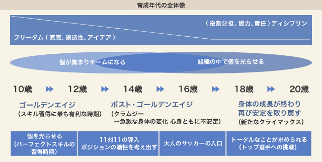 育成年代の全体像