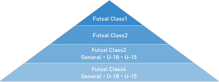 Referee's qualification