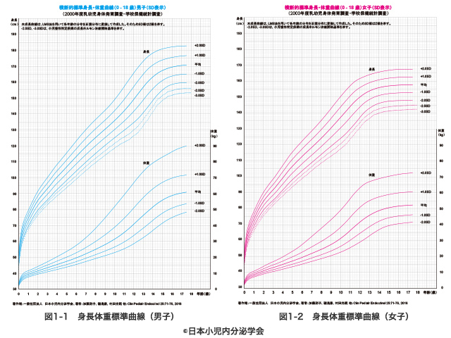 戦うための身体づくり