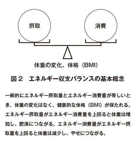 戦うからだをつくるための基本の食事