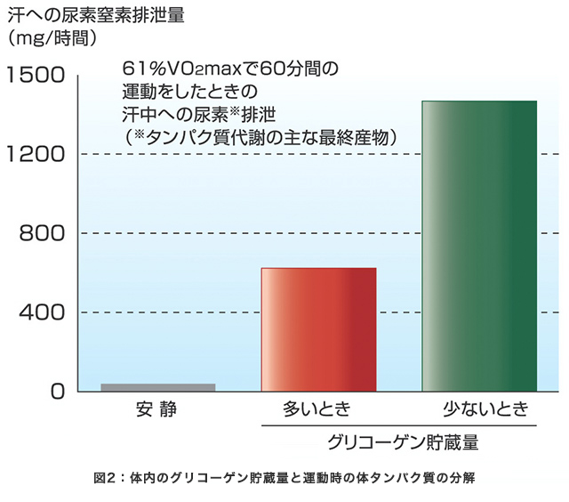 補食について