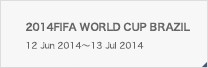 2014FIFA WORLD CUP BRAZIL