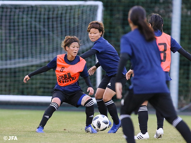 Nadeshiko Japan to display a style of football only Japan can perform (11/11@Tottori vs Norway Women's National Team)