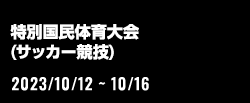 特別国民体育大会（サッカー競技）