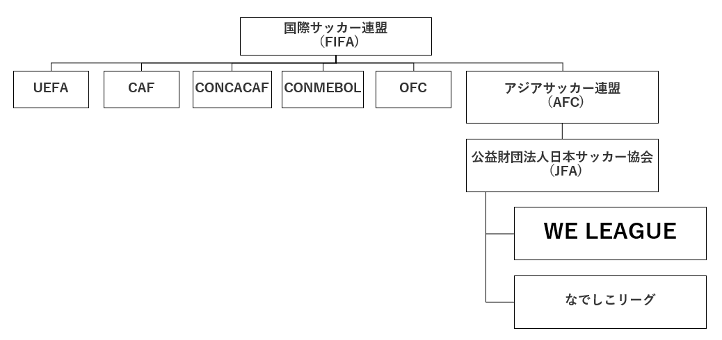 日本女子プロサッカーリーグ設立について Jfa 公益財団法人日本サッカー協会